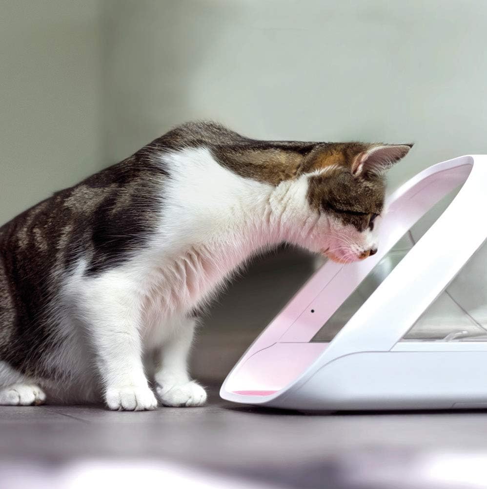 Sure Petcare Microchip Pet Feeder Connect – App-Enabled Portion Control for Cats, Hub Sold Separately