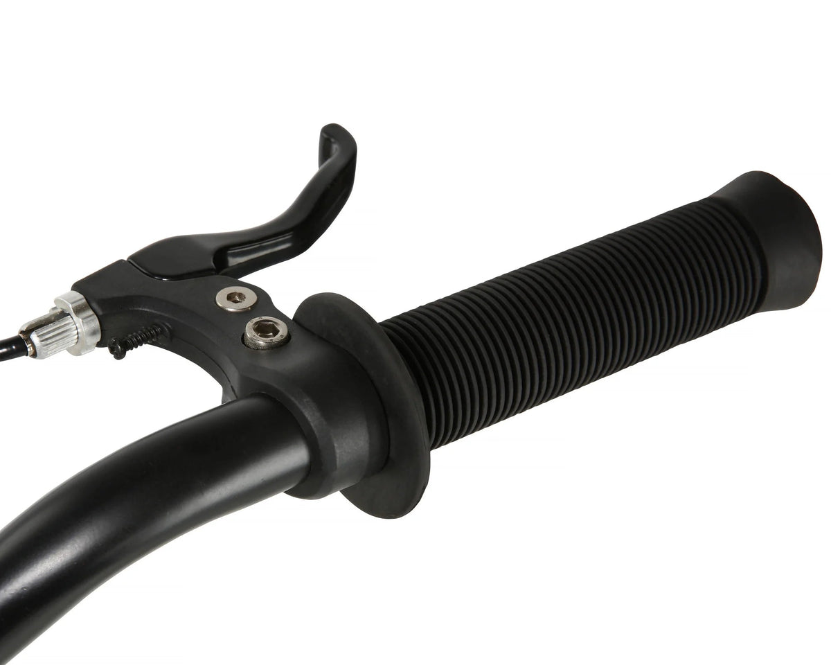 Dynacraft Tony Hawk 24-Inch BMX Bike – Black Satin with Authentic Tony Hawk Graphics