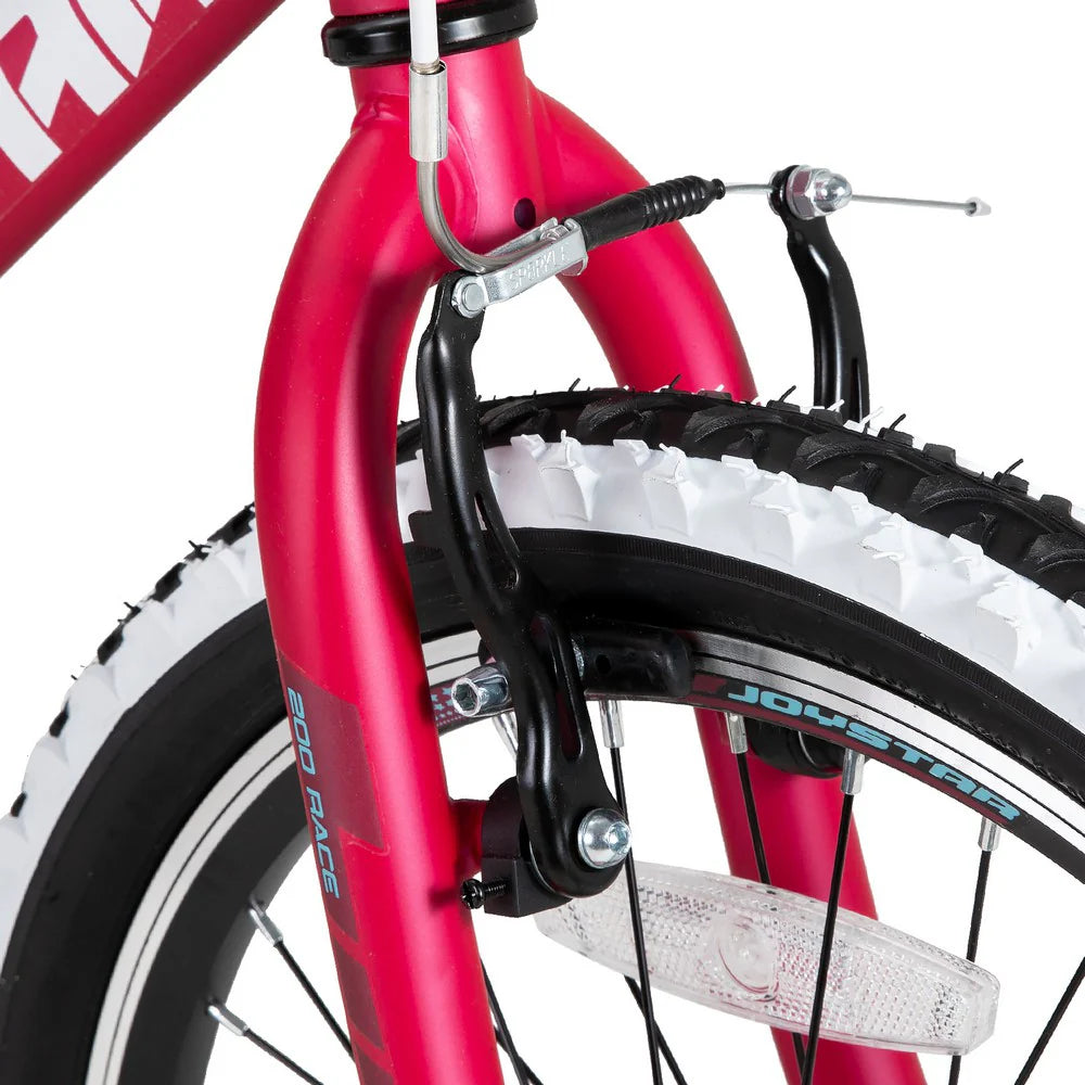 JOYSTAR Lubbock Kids Mountain Bike 20" and 24" Single-Speed Bicycle for Boys and Girls