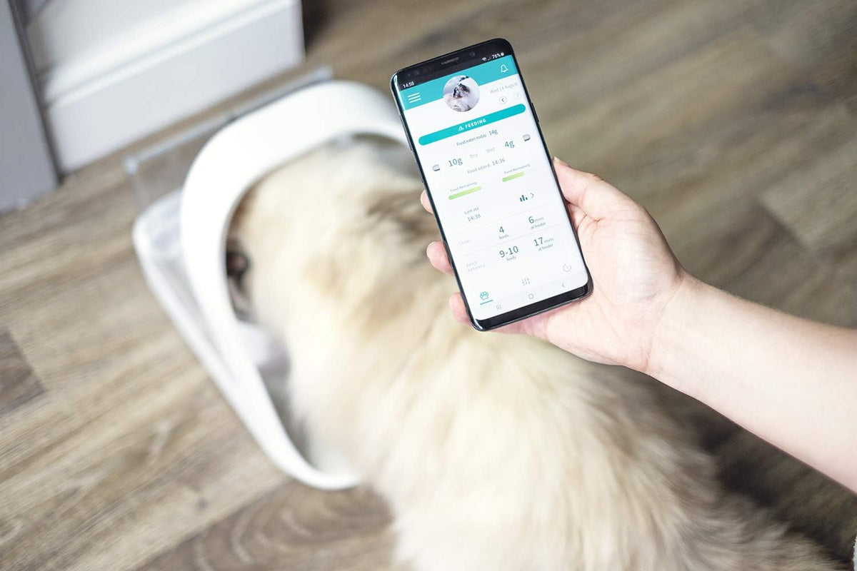 Sure Petcare Microchip Pet Feeder Connect – App-Enabled Portion Control for Cats, Hub Sold Separately